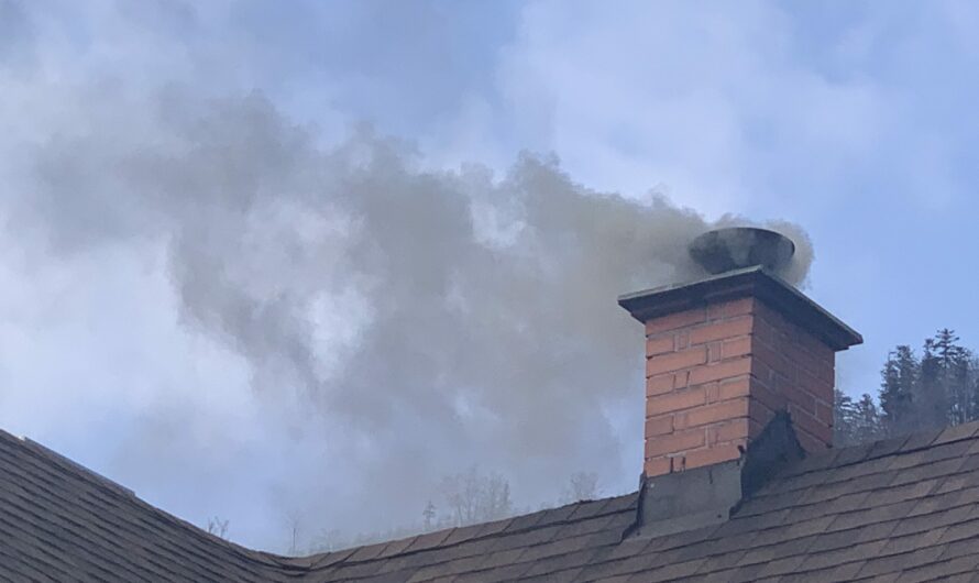 Biznes kontra smog: szkolenia dla 45 tys. dzieci