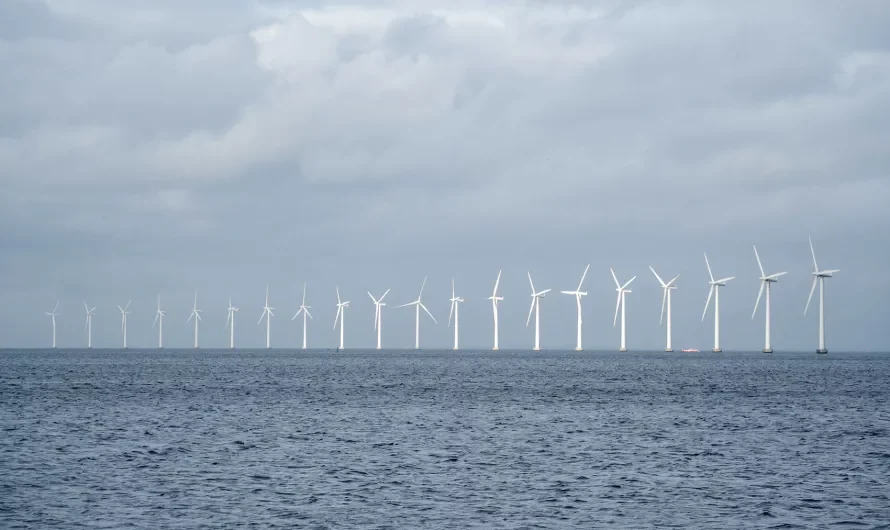 Dekarbonizacja szansą dla rozwoju firm