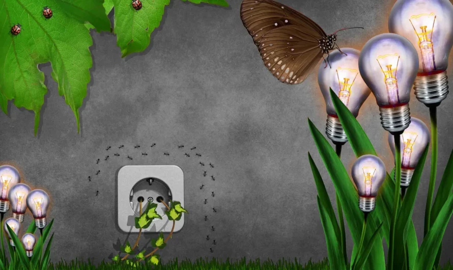 KPMG inwestuje w rozwiązania z obszaru ESG