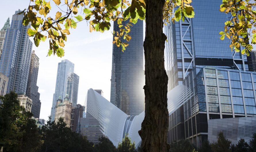 Adaptacja klimatyczna w czasie kryzysu – co trzeba zmienić natychmiast?