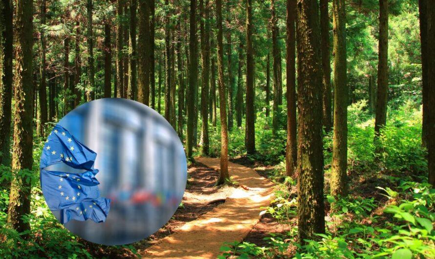 Przepisy EUDR zaczną obowiązywać od 30 grudnia 2026 r.