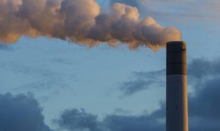 proces dekarbonizacji