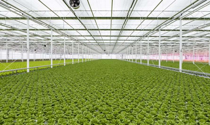 Green Holding: pierwszy raport ESG za 2021 rok