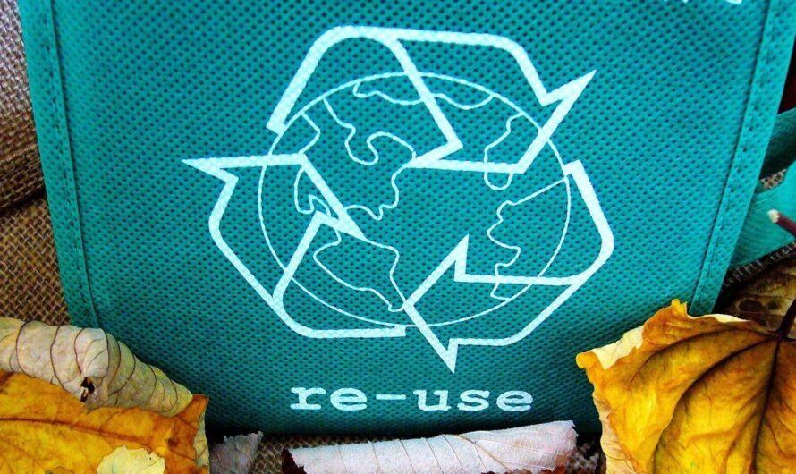 Transformacja firm w kierunku GOZ – rusza nabór wniosków