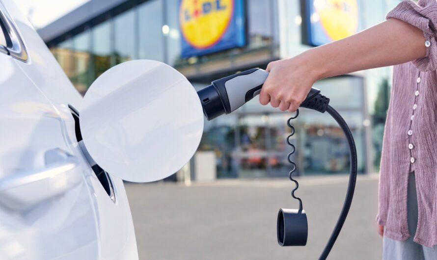 Lidl Polska: od zielonej energii w sklepach po ochronę Bałtyku