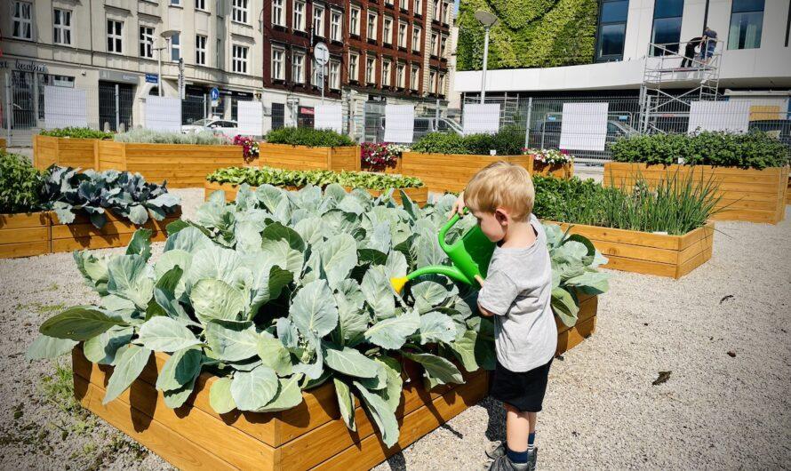 Raport ESG Apsys Polska