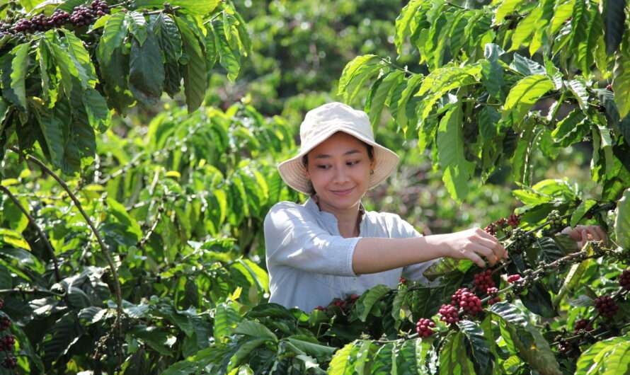 Nestlé: zrównoważony Nescafé Plan 2030 o wartości miliarda CHF