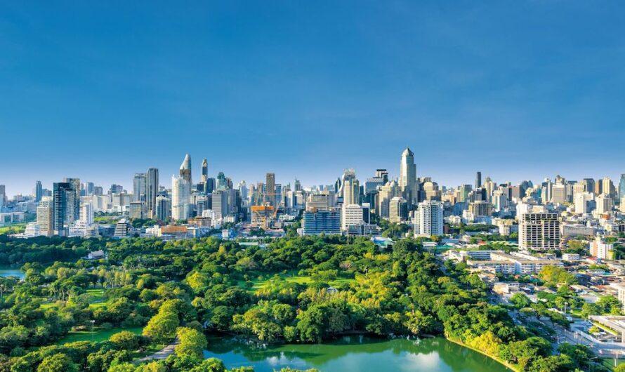 Selena: pierwszy raport zrównoważonego rozwoju