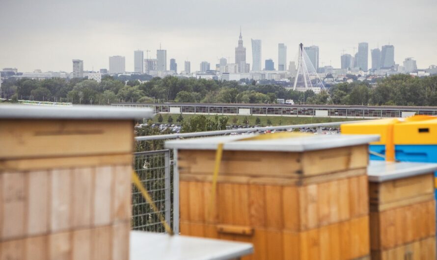 Wedel: raport CSR „Z przyjemnością dla przyszłości”