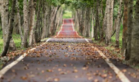 Carbon Disclosure Project