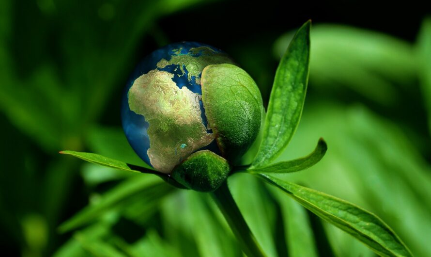 Czynniki ESG wymuszają decyzje inwestycyjne na wielu poziomach