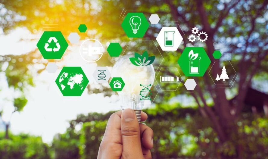 Nie tylko światłowód – raport ESG firmy Nexera