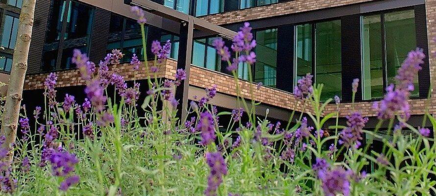 Pierwszy raport niefinansowy White Star Real Estate