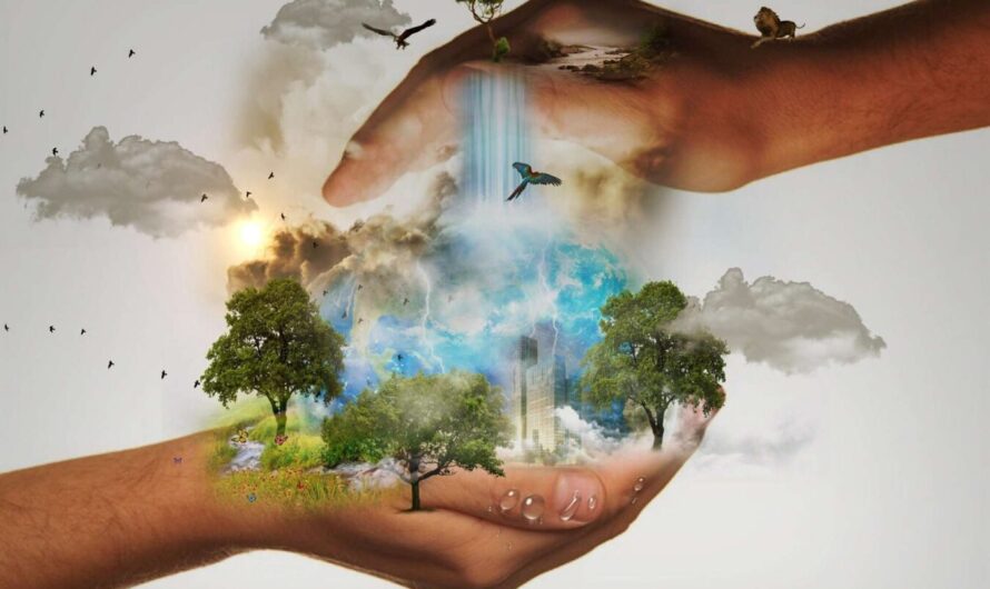 Signify: ocena „A” od CDP