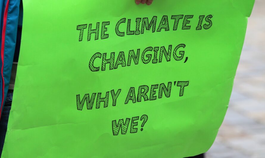 Zmiany klimatyczne: biznes szybszy od polityków