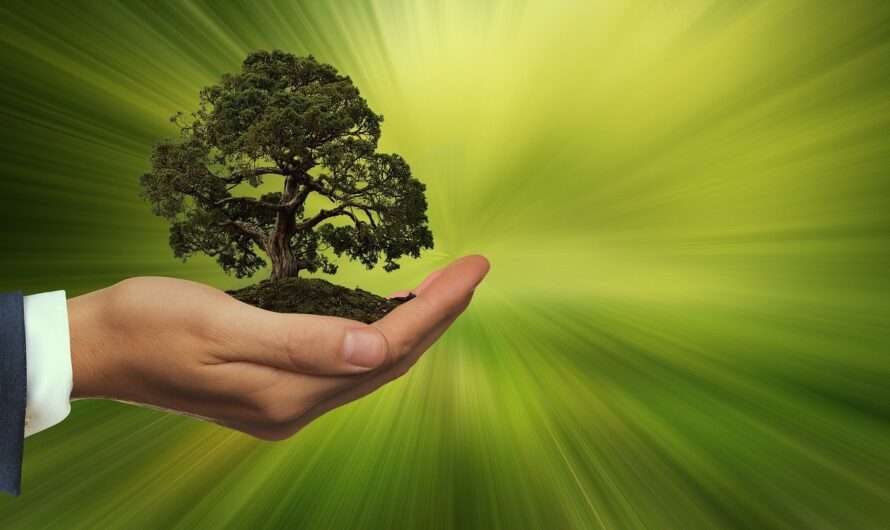 Zrównoważony rozwój zmienia oblicze firm konsultingowych