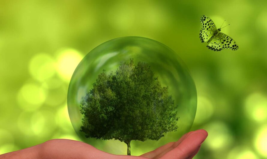 UNEP Finance Initiative – jak planować transformację w sektorze bankowym